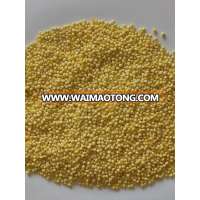 yellow glutinous millet