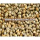 Millet Feed Grade Animal feed