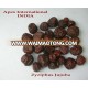 Jujube Fruits