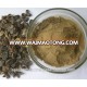 Amla Powder /Amla Fruit Dried / Emblica Officinalis Dried