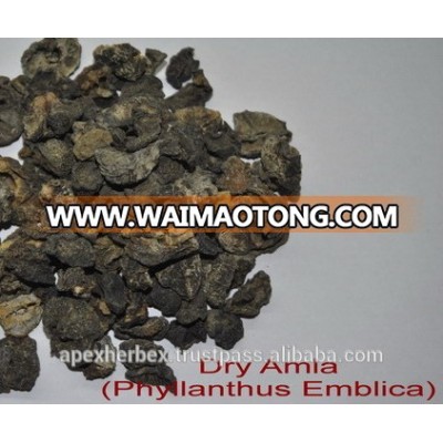 Amla oil / Emblica Officinalis oil