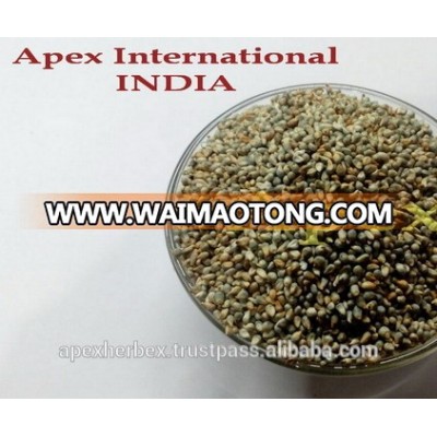 High Quality Green Millet