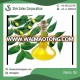 Supply Natural Neem Oil Cold Press/ Neem Extract Oil at Low Price