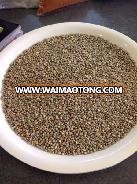 Green Millet Good Grade